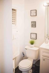 een badkamer met een toilet met een plant erop bij LOVELY 1 BR 2Bed. MONTROSE/HOUSTON GETAWAY in Houston