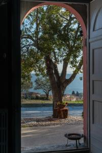 um arco com uma árvore em frente a uma porta em Agriturismo Piano del Monaco em Marcellinara