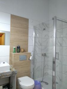 uma casa de banho com um chuveiro e um WC. em Hostel Staromiejski em Grudziądz