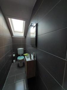 łazienka z toaletą i oknem dachowym w obiekcie FeWo2&Bad Wurzach w mieście Bad Wurzach