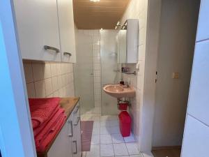 uma pequena casa de banho com um lavatório e um espelho em Gertis Blumenhof Privatzimmer, Ferienwohnung em Gmünd
