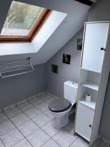 ein Bad mit einem WC und einem Dachfenster in der Unterkunft Gite "La Gaudoiterie" in Saint-Martin-du-Fouilloux