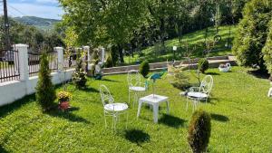 Zahrada ubytování Casa Paunescu