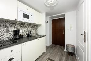 Kuchnia lub aneks kuchenny w obiekcie Native Apartments Studencka 25