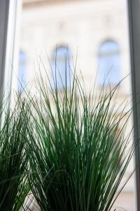 Zdjęcie z galerii obiektu Native Apartments Studencka 25 w Krakowie