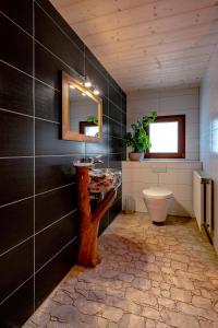 a bathroom with a sink and a mirror and a toilet at Traditional Chalet with some luxurious features in Troistorrents