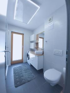 Koupelna v ubytování Apartma M&J