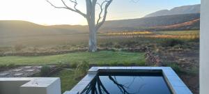 a view of a field with a tree and a pool at Prinspoort Klein Karoo Stay in Ladismith