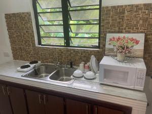 a kitchen counter with a sink and a microwave at Zaboca apartment in Roseau