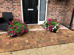 two potted plants sitting in front of a door at Modern Homestay 15 minutes to Dublin Airport in Ballyboughal