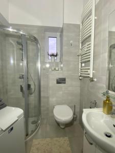 een badkamer met een toilet, een douche en een wastafel bij CRYSTAL Św. Marcin Poznań in Poznań