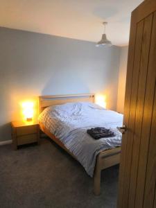 een slaapkamer met een bed met twee lampen erop bij Number 49 in Great Torrington