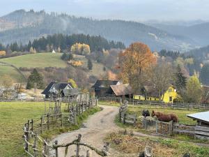 Ein Pferd steht auf einem Feld neben einer unbefestigten Straße in der Unterkunft Drevenice Horné Kysucé in Vysoká nad Kysucou