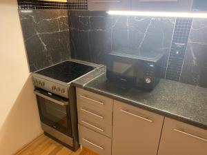 Kuchyň nebo kuchyňský kout v ubytování Apartmány City 2