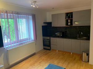 Kuchyň nebo kuchyňský kout v ubytování Apartmány City 2