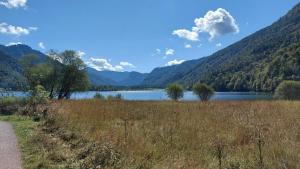 Peisaj natural din apropierea acestei case de vacanță