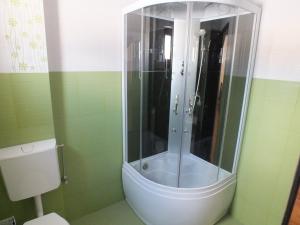a shower in a green bathroom with a toilet at Pensiunea Eliza in Podu Coşnii +9 photos