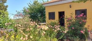 Zahrada ubytování Casa Fátima Valle Gran Rey