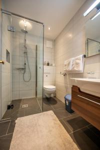 ein Bad mit einer Dusche, einem WC und einem Waschbecken in der Unterkunft Apart Harmonie in Kappl