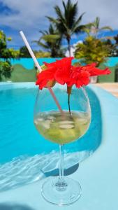 um copo de vinho com uma flor vermelha em Pousada Mikaela Arraial em Arraial d'Ajuda