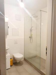 a bathroom with a toilet and a glass shower at Apartament with terrace in Mitte Berlin 2011 in Berlin