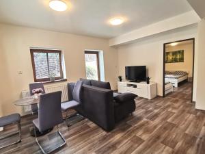 TV a/nebo společenská místnost v ubytování Apartmány Paseky - Jablonec nad Nisou