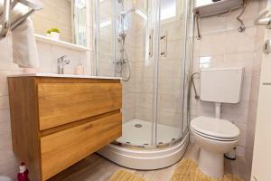 a bathroom with a shower and a toilet at Holiday Spa House Kostanjevec in Velika Gorica