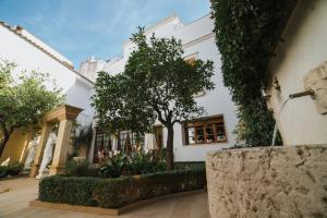een wit huis met een boom ervoor bij Andalusian Palace in Priego de Córdoba