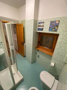 坎波迪焦韋的住宿－Monte Amaro Apartment con camino, terrazzo e giardino，一间带卫生间的浴室和一台电视。