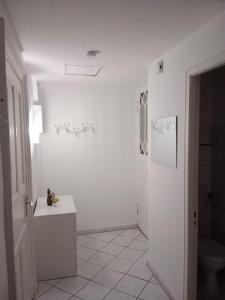 La salle de bains blanche est pourvue de toilettes et d'un lavabo. dans l'établissement Stadtnah an der Förde 75 1, à Flensbourg