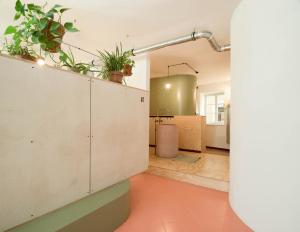 a kitchen with a plant growing in the corner of the room at Montagu Hostel in Innsbruck