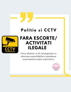 Capture d'écran d'un billet sur les médias sociaux avec photo d'une caméra dans l'établissement Eagle's Nest Short Stay, à Baia Mare