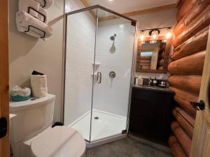 a bathroom with a shower with a toilet and a sink at North Haven Campground in Bonners Ferry