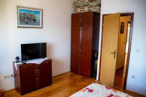 TV a/nebo společenská místnost v ubytování Apartments Lile by the sea, Čelina Zavode
