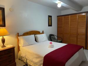 ein Schlafzimmer mit einem Bett, einer Lampe und einem Tisch in der Unterkunft The Villas of John St. Rose in Christiansted