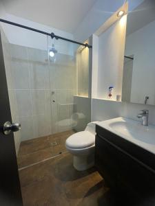 een badkamer met een toilet, een douche en een wastafel bij Cabaña en santafe de Antioquia in Santa Fe de Antioquia