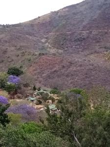 a view of a mountain with trees and purple flowers at Bushwhacked Barberton in Barberton