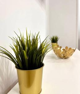 deux plantes en pot doré assises sur une table dans l'établissement Maximilian Dreams, à Madrid