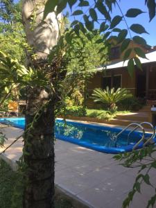 un árbol y una piscina azul en un patio en El Teyu de Garupa en Garupá