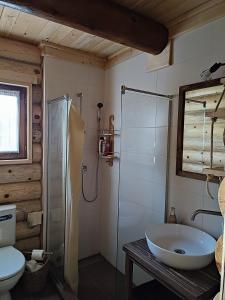 ein Bad mit einer Badewanne, einer Dusche und einem WC in der Unterkunft Brvnara Pahuljica Zlatar in Nova Varoš