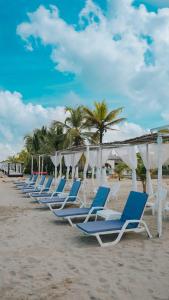a row of lounge chairs on the beach at Makáry Beach Tolú by Bernalo Hotels in Tolú