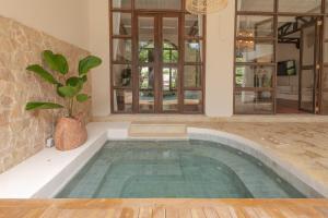 Gallery image of Paradise Beach Lodge in Mal País +99 photos