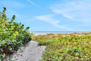 a path to the beach with the ocean in the background at 53 Steps to Beach in Clearwater Beach