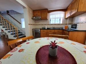 a kitchen with a table with a potted plant on it at Adega do Costa in Prainha de Baixo