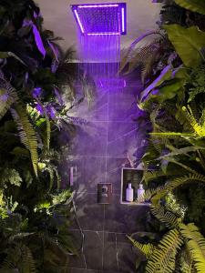 ein Bad mit einer violetten Decke mit Pflanzen in der Unterkunft Loving room cocooning avec jacuzzi « la terre » in Jujurieux