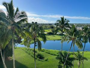 a group of palm trees next to a lake at Stunning Views Best location in Hilo 2BR modern Condo in Hilo
