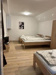 Una habitación con tres camas y un televisor. en Bada Bing Plaza, en Bratislava