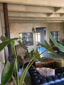 a living room with a black leather couch and plants at Hofstede klein Rozendaal, huisje Rozen in Asch