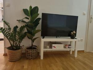 una televisione su un supporto bianco con due piante in vaso di Little cozy apt close to centre a Lubiana