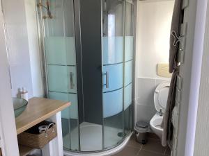 La salle de bains est pourvue d'une douche en verre et de toilettes. dans l'établissement Chaleureux T2 30 m2 et sa terrasse bois 18 m2, à La Rochelle